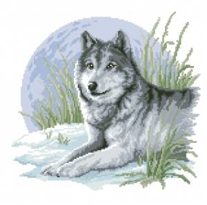 Схема Волк