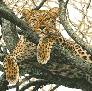 Схема Леопард