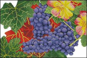 Схема Виноград