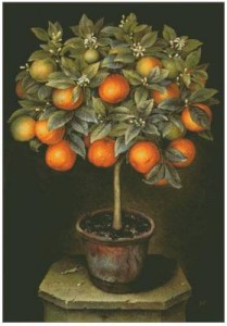 Схема Апельсинновое дерево