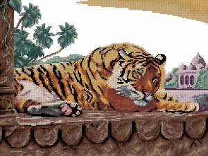 Схема Бенгальский тигр