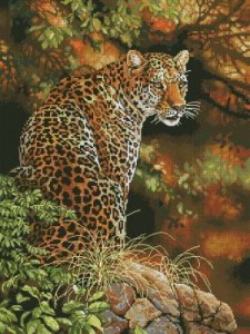 Схема Леопарды / Leopards Gaze