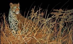 Схема Охота в одиночестве / The Leopard Hunts Alone