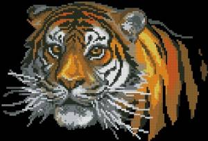 Схема Тигр на черном