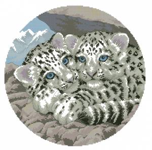 Схема Детеныши белого леопарда