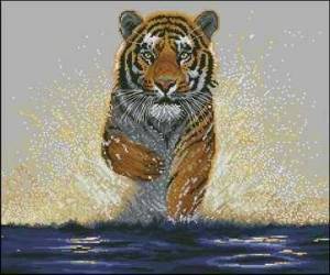 Схема Тигр бежит по воде