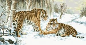 Схема Тигры