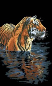 Схема Купающийся тигр