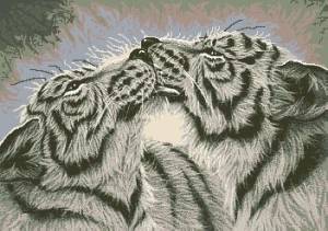 Схема Поцелуй тигров