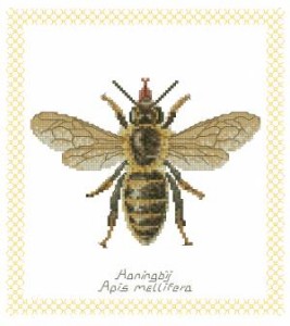 Схема Пчела