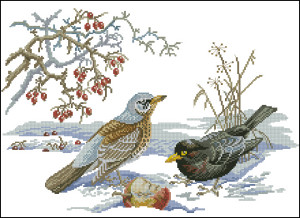 Схема Зимние птицы