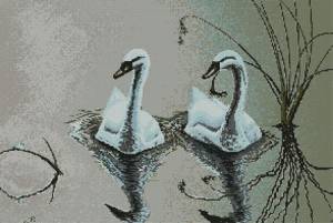 Схема Пара лебедей