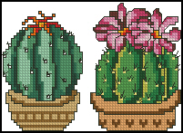 Схема Два кактуса