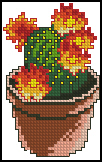 Схема Цветущий кактус