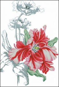 Схема Красный тюльпан