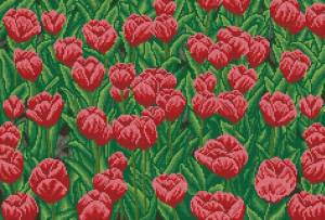 Схема Красные тюльпаны