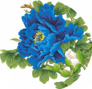 Схема Цветок синий