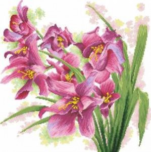 Схема Орхидеи / lovely orchids