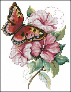 Схема Гибискус и бабочка