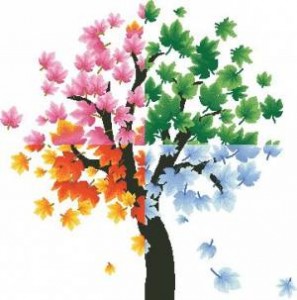 Схема Сезонное дерево