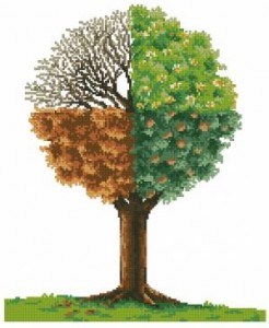 Дерево - сезоны