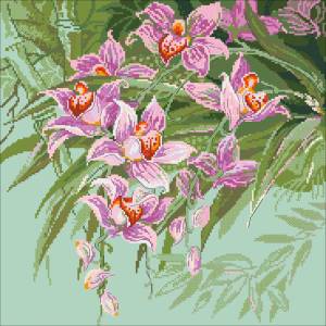 Схема Тропические орхидеи