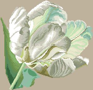 Схема Белый тюльпан