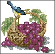 Схема Птичка и виноград
