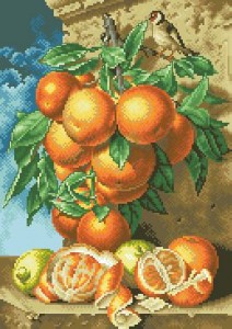 Апельсины и щегол