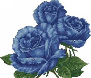 Схема Синие розы