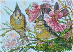 Схема Птицы и цветы