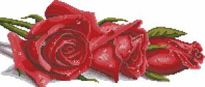Схема Красные розы в росе