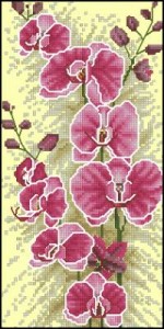 Схема Орхидеи