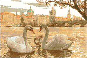 Лебеди на реке в Праге