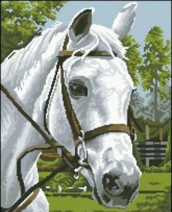 Схема Лошадь 1