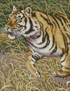 Схема Тигр