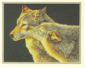 Схема Поцелуй волка / Wolf kiss