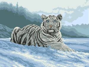 Схема Сибирский тигр